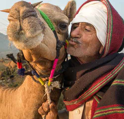 Pink City with Pushkar